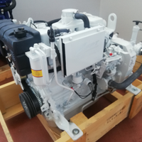 Entrobordo 4 cilindri FPT 100 hp DETARABILE