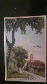 cartoline 