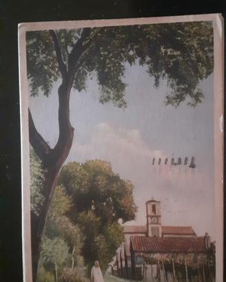 cartoline 