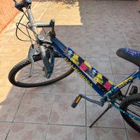 Mountain bike