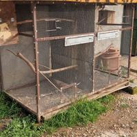 Gabbie per pappagalli 