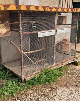 Gabbie per pappagalli 