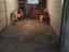 Immagine 9