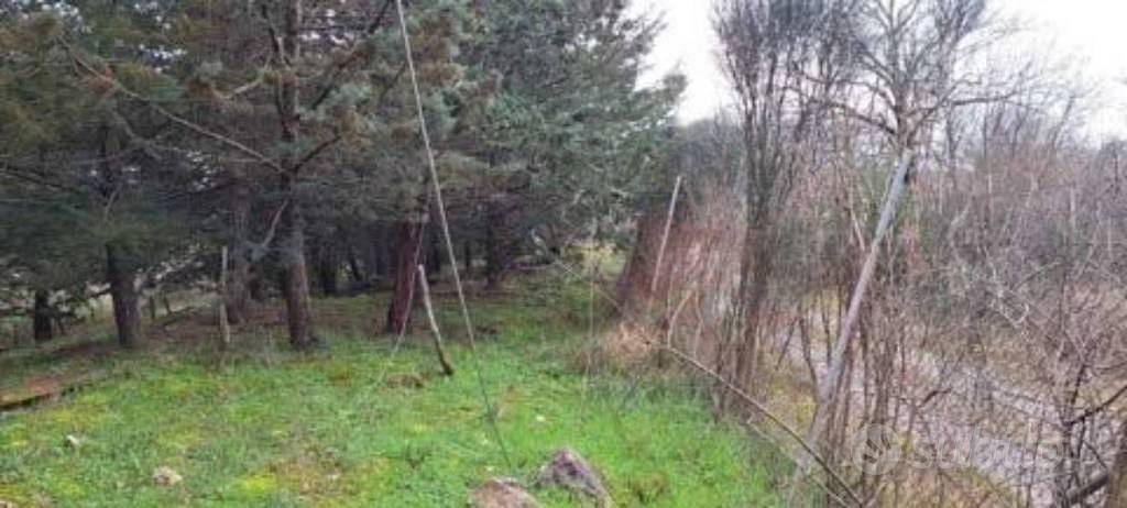 Immobile in asta di 333270 m² a Piancastagnaio - Vista 5