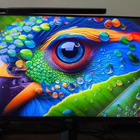 Monitor AOC Gaming Q24G2A QHD 24" 165hz