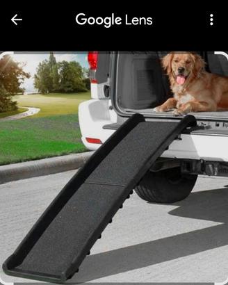 rampa auto per cani