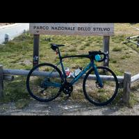 ridley fenix slic