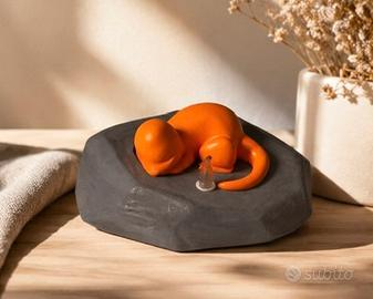 Luce notturna charmander