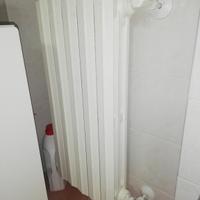 Termo (Radiatore) in Ghisa cm 69x40