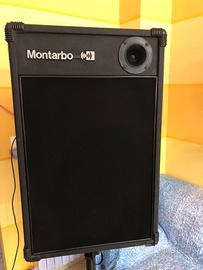 Coppia casse Montarbo customizzate