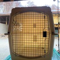 Trasportino per trasporto cani taglia grande