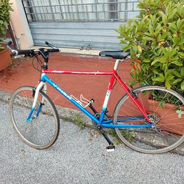 Bici MTB