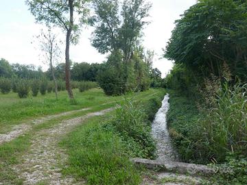 TERRENI AGRICOLI PER OLTRE 8.000 MQ: investimen...