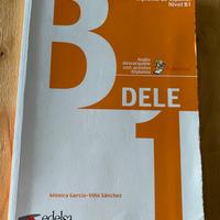 Preparaciòn diploma espanol B1