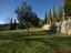 Immagine 24