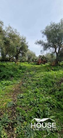 Ragalna terreno agricolo