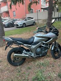 Tdm 900