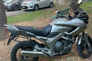 Tdm 900