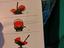 Immagine 6