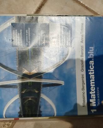 matematica.blu volume 1