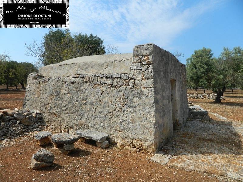 LAMIA SPRITZ con TERRENO 1Ha - OSTUNI - Vista 4