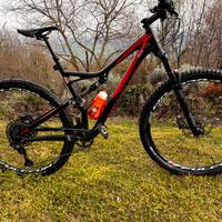 Specialized Stumpjumper fsr