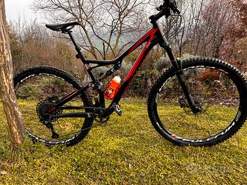 Specialized Stumpjumper fsr