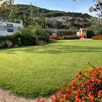 Terreno con Giardino