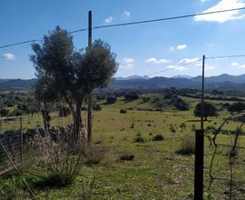 Azienda agricola irrigua con case