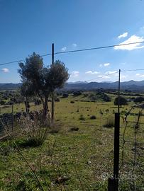 Azienda agricola irrigua con case