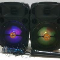 Coppia casse Extreme sound