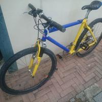 Mtb fibra di carbonio