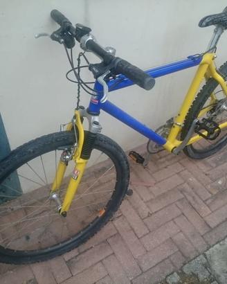 Mtb fibra di carbonio