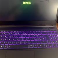 Notebook gaming XMG rtx 3060 nvidia Amd 15 pollici