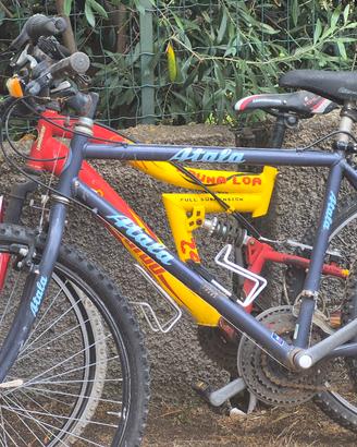 Biciclette 