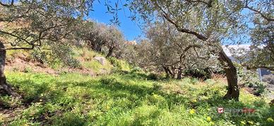 Rodia, terreno agricolo di circa 1000 mq