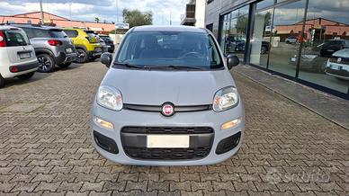Fiat Panda 1.2 Easy easypower Gpl 69cv my19