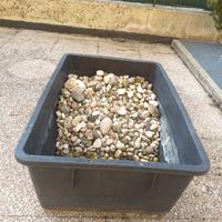 Ciotoli per giardino 
