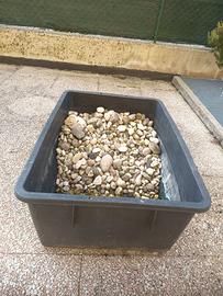 Ciotoli per giardino 