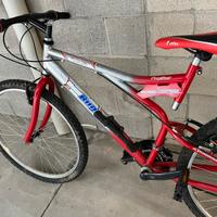 Bicicletta Mountain bike