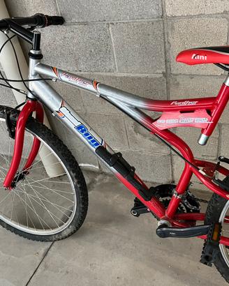 Bicicletta Mountain bike