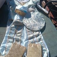 vestito carnevale principe azzurro