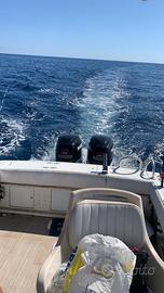 Coppia suzuky 225 cv 4T