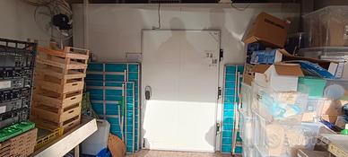 Fondo frutta e verdura