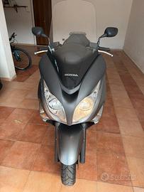 Silver Wing PERFETTA