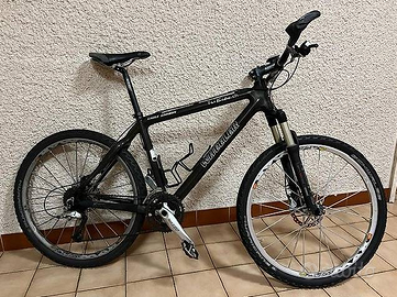 Bici in carbonio