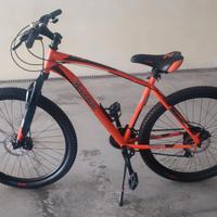 Mountain bike