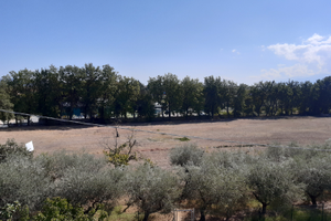 Cepagatti splendido terreno edificabile