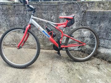 bicicletta Mountain bike 