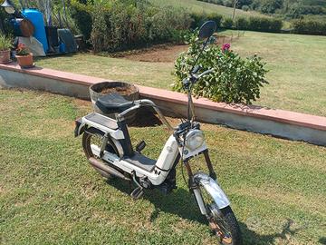 Motorino Brio